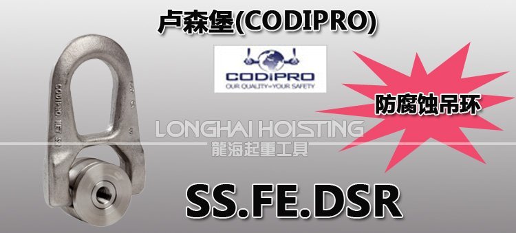 盧森堡SS.FE.DSS不銹鋼吊環(huán)