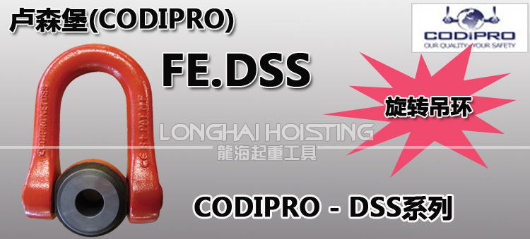 盧森堡FE.DSS旋轉吊環