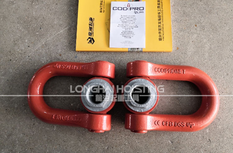 DSS盧森堡CODIPRO旋轉(zhuǎn)吊環(huán) DSS盧森堡CODIPRO旋轉(zhuǎn)吊環(huán)